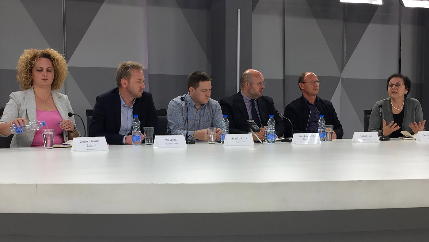 PUBLIC PANELS OF KOSOVO AND SERBIAN MPs