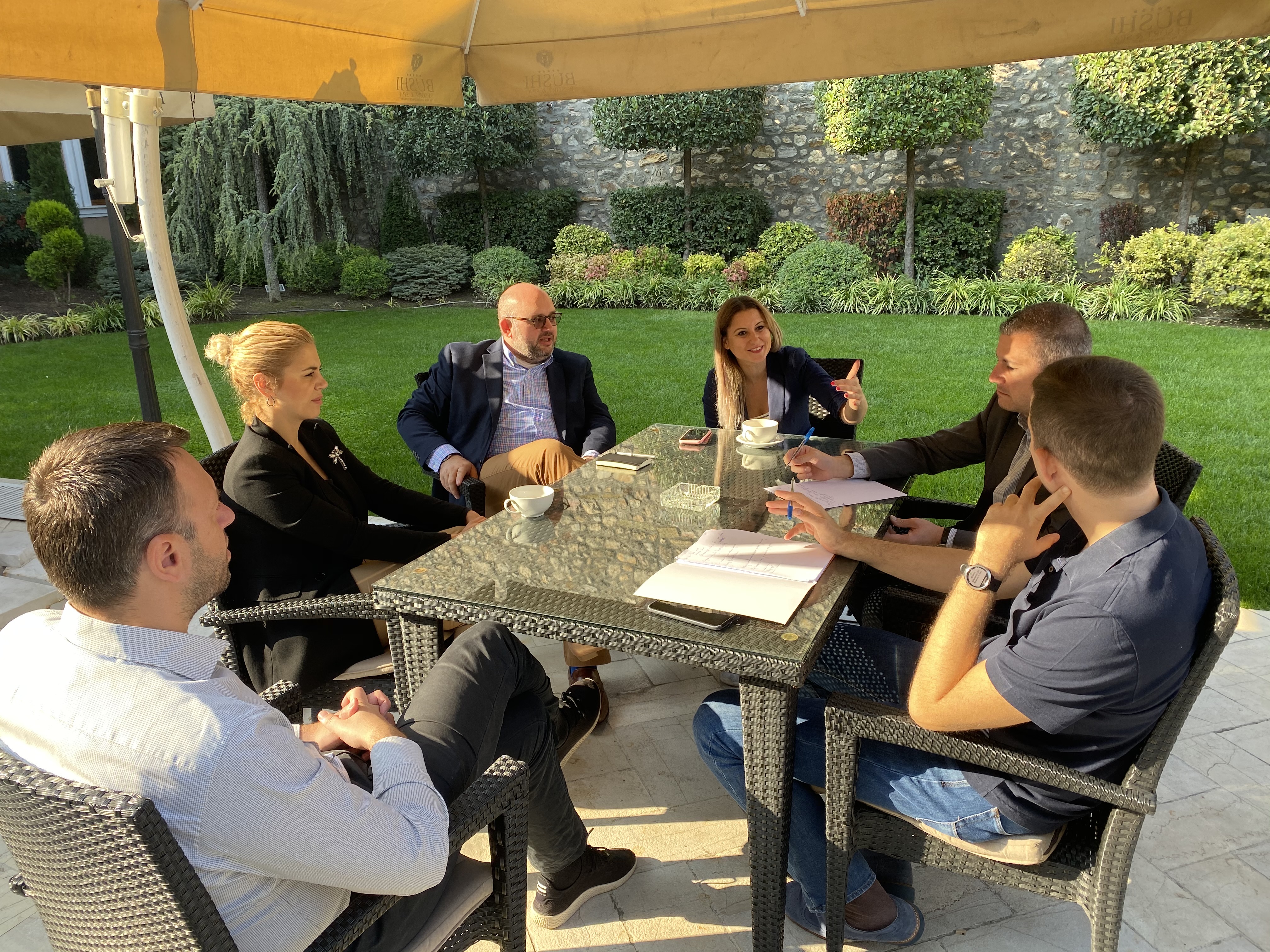 EU INTEGRATION, POLITICAL PARTIES, AND REGIONAL INITIATIVES IN THE WESTERN BALKANS