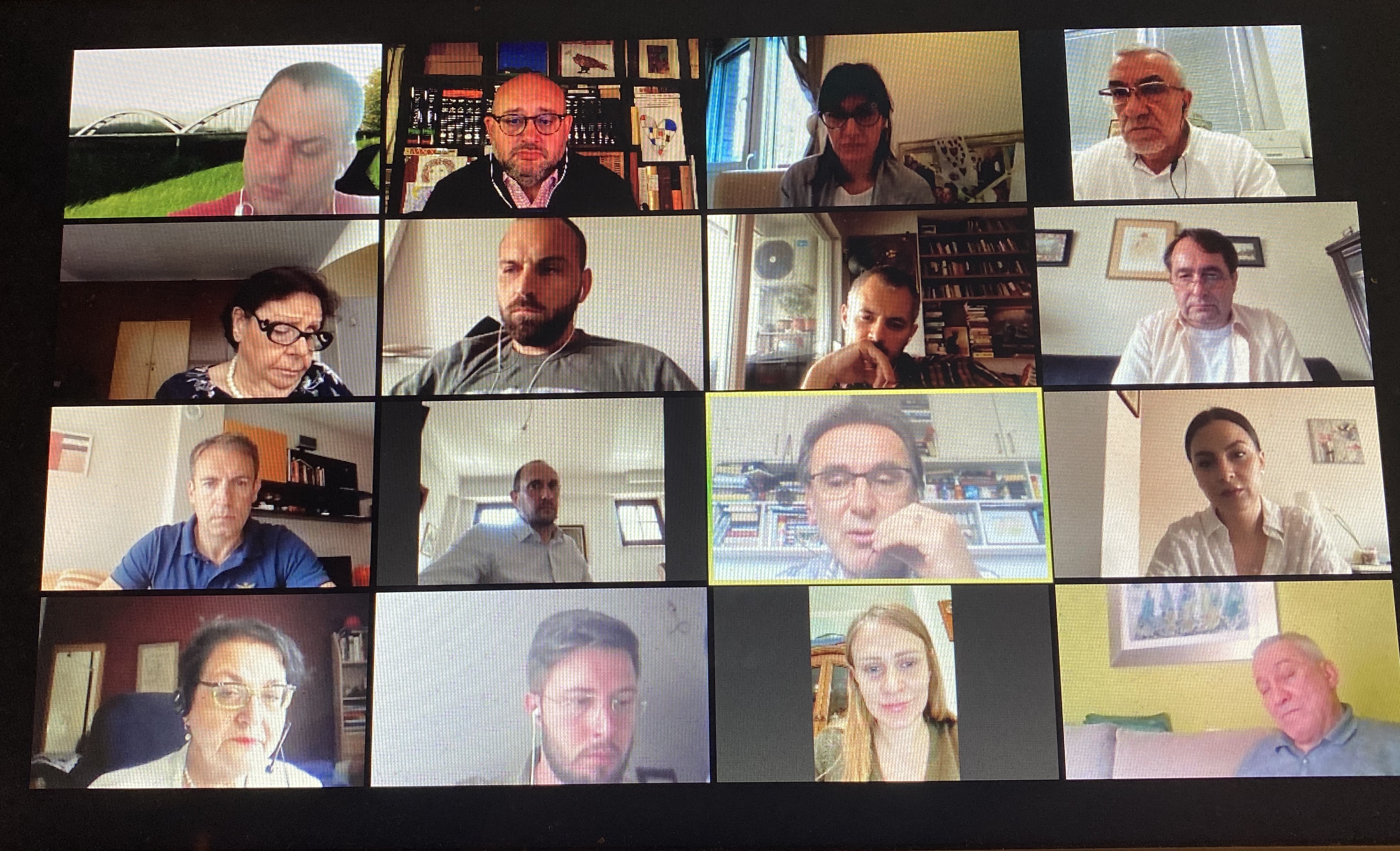 COOPERATION DURING A PANDEMIC: GENUINE OR PRETENDED