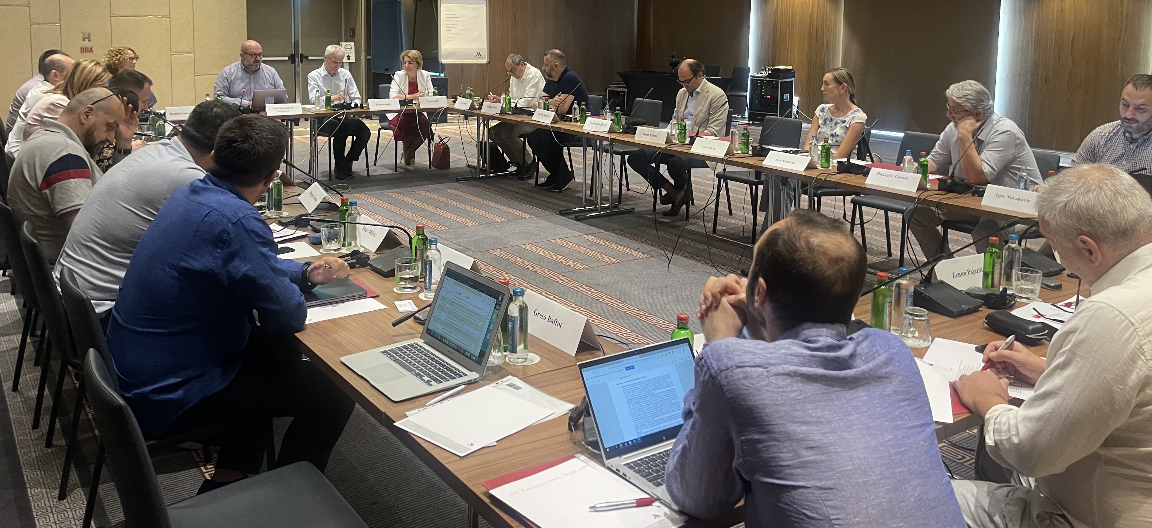 KOSOVO AND SERBIA MPs ON PURSUING COMMON GOALS